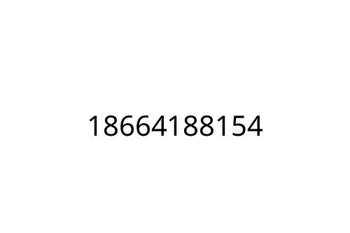 18664188154