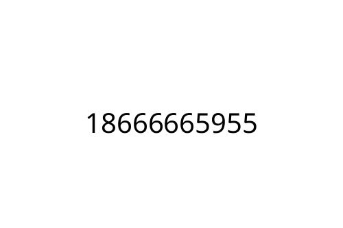 18666665955