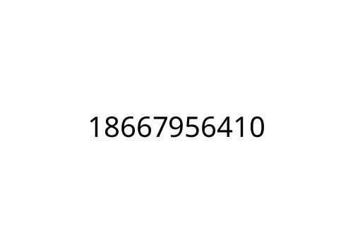 18667956410