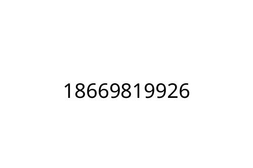 18669819926