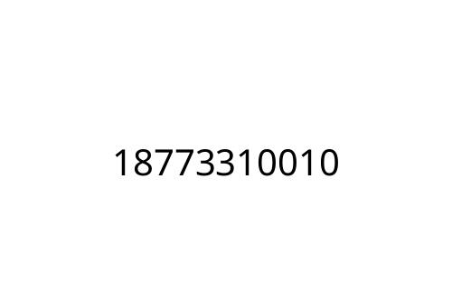 18773310010