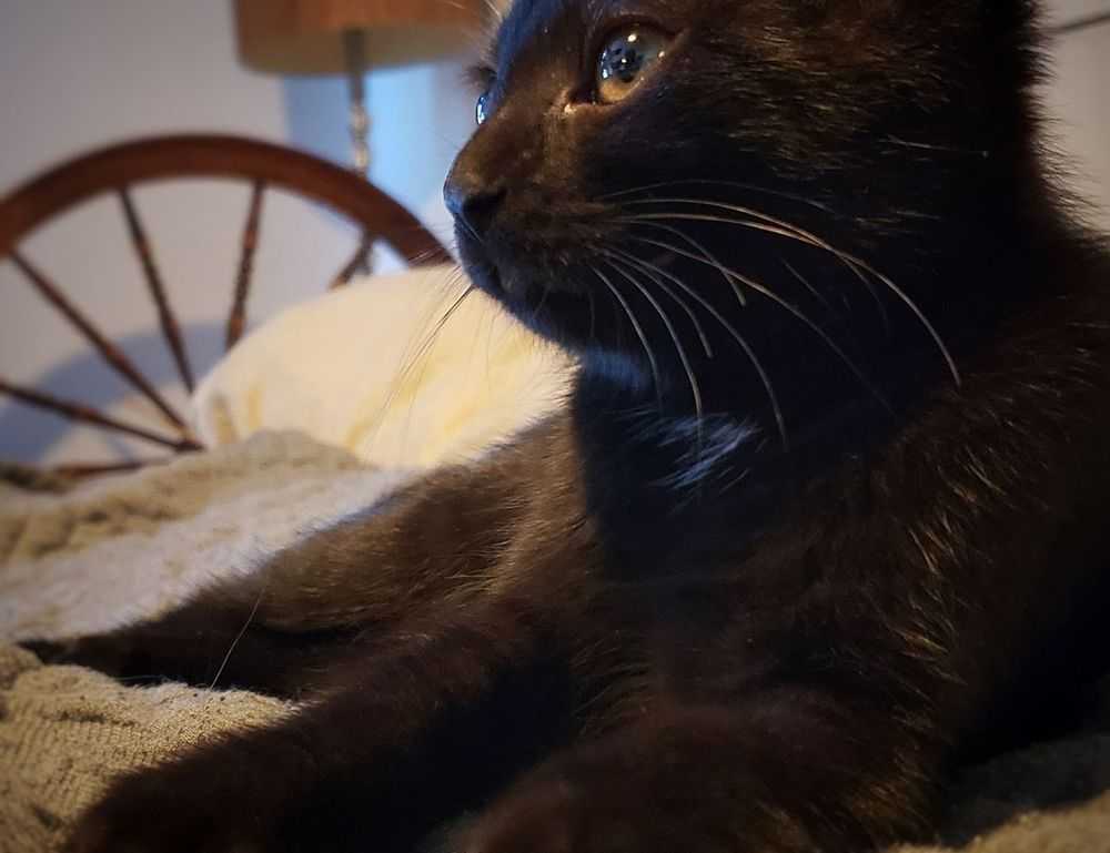 zenvekeypo4 software problem