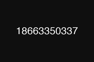18663350337
