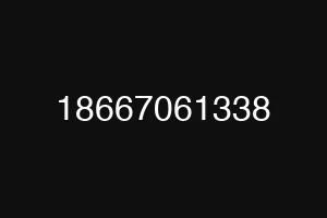 18667061338
