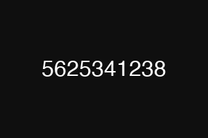 5625341238