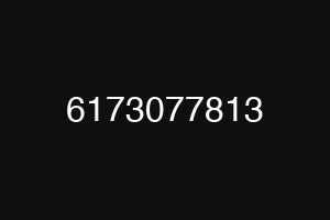 6173077813