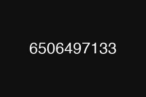 6506497133