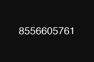 8556605761