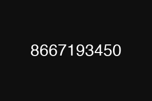 8667193450