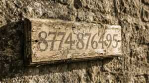 8774876495