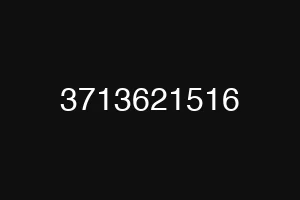 3713621516