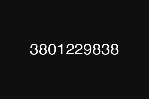3801229838