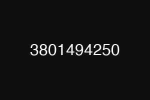 3801494250