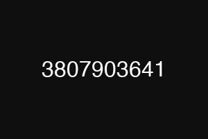 3807903641