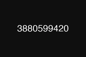 3880599420