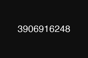 3906916248