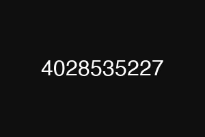 4028535227