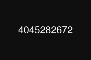 4045282672