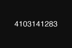 4103141283