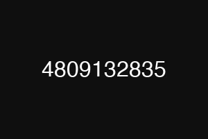 4809132835