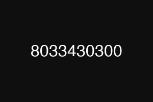 8033430300