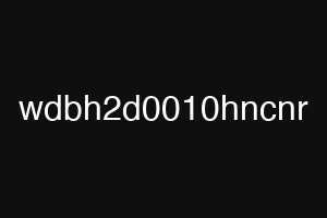 wdbh2d0010hncnr